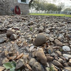 Garden Rocks - As Many As You Can Take