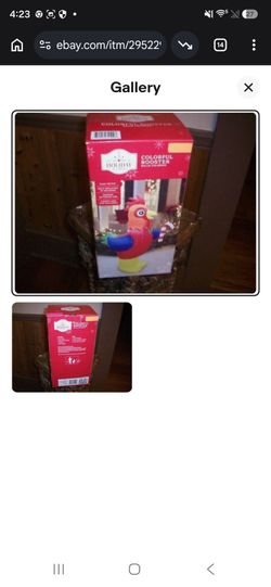 Christmas chicken inflatable $15