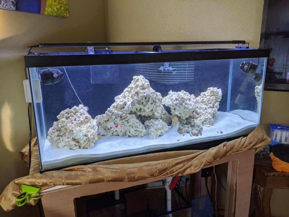 75 gallon aquarium Setup - Tons of Extras (everything must go!)