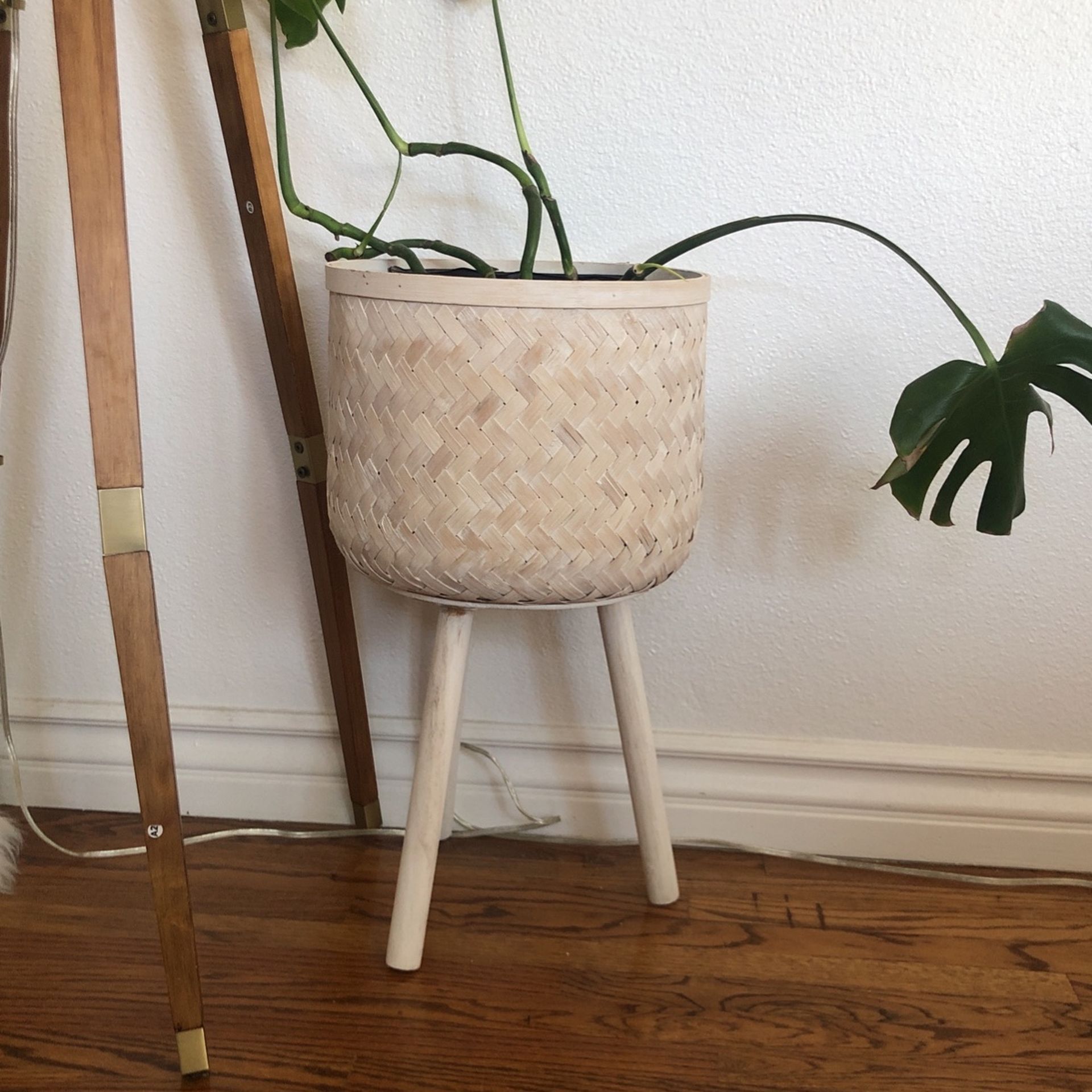 White Plant Holder