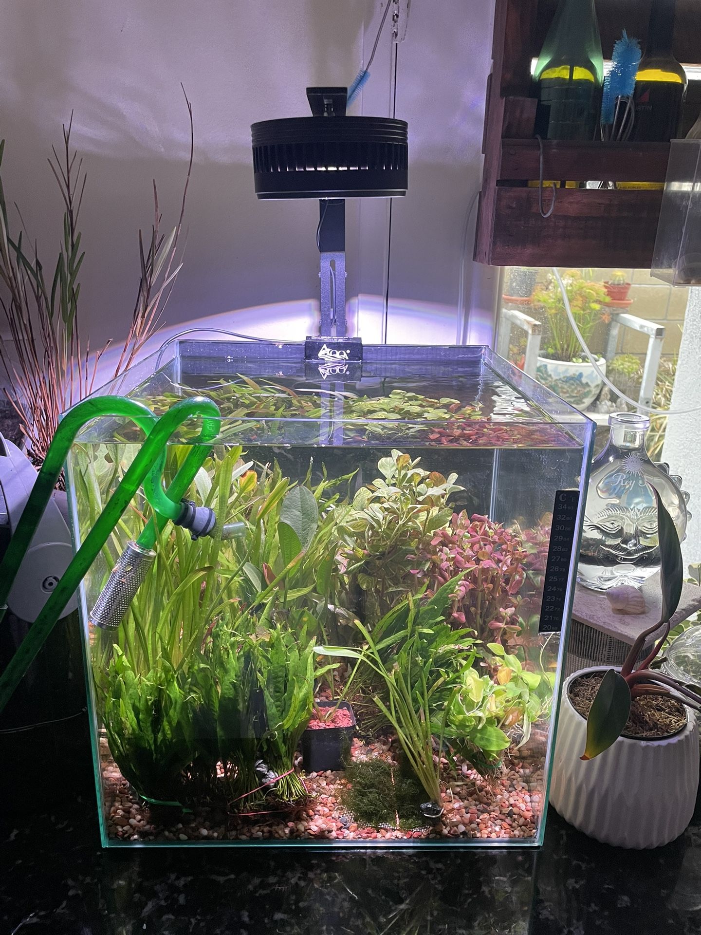 15 Gallon Rimless Aquarium Fish Tank for Sale in Placentia, CA - OfferUp