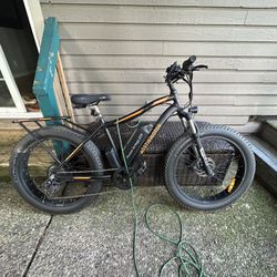 Astirmotor Electric Bike 