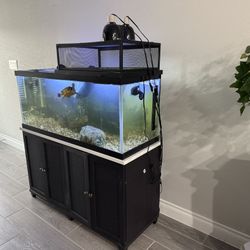75 Gallon Fish Tank With Stand 