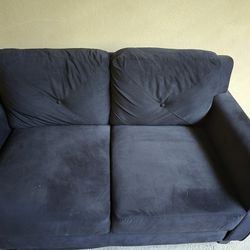 Loveseat Couch.