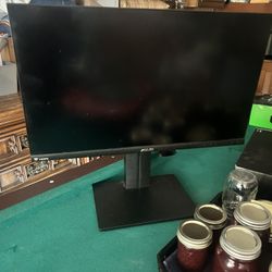 Asus P258 Montior