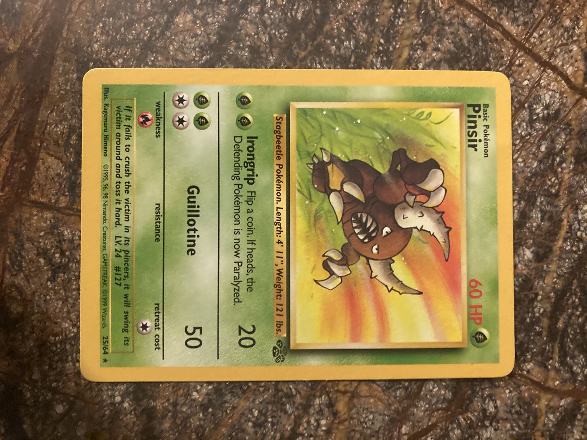 Set Of Jungle Pokémon 1st Editions