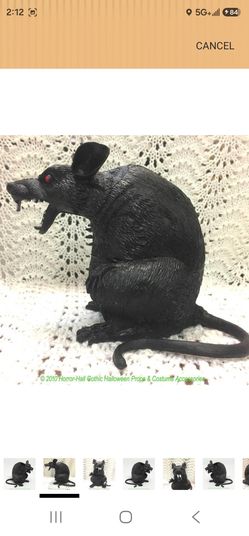 Halloween Rats