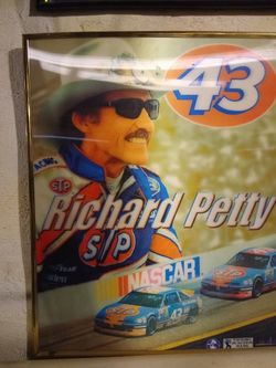 Richard Petty 3d motion frame picture