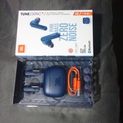 JBL Earbuds 