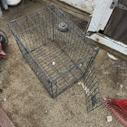 Metal Cage 