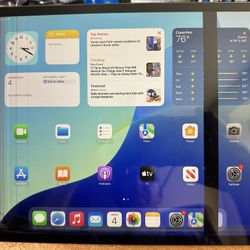 iPad Pro 12.9” 4th Gen – 128GB Cellular – Cracked Screen, Fully Functional