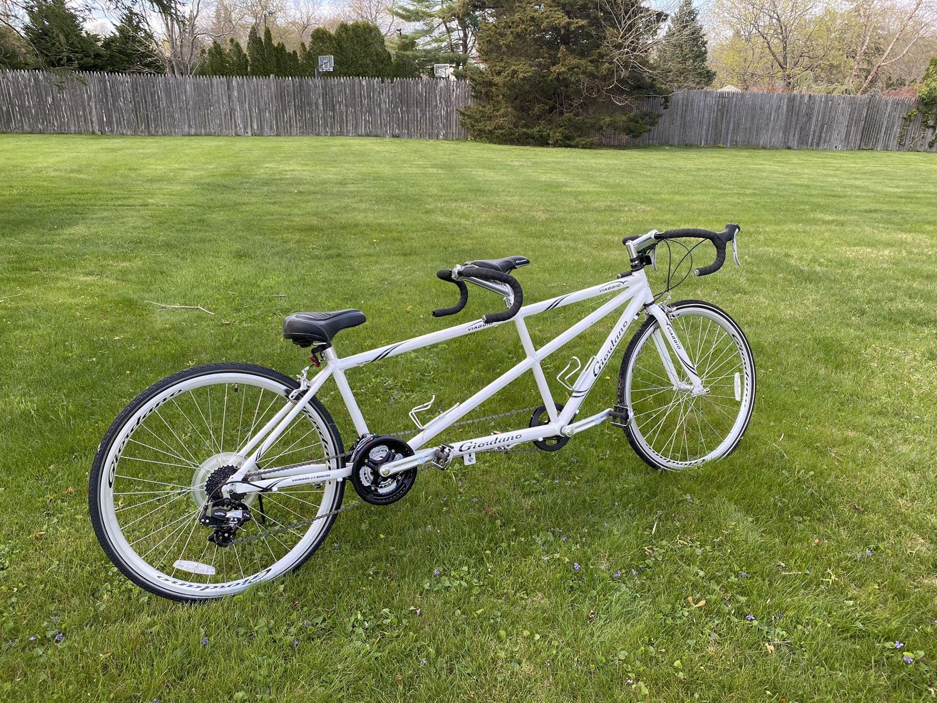 Tandem Road Bike