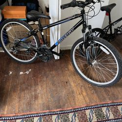 Mountain Bike