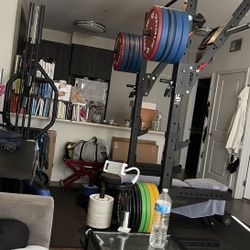 Rogue Gym Equipment 