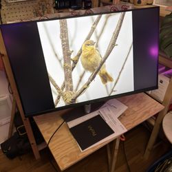 Asus ProArt 32” 4K Professional Monitor