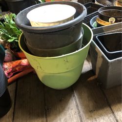 All Sizes of Pots For Plants