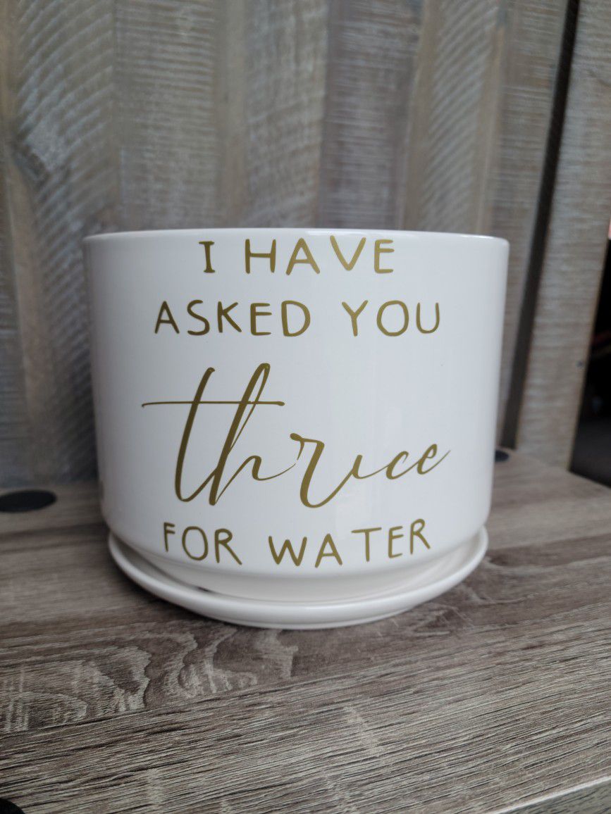 6in Handmade Ceramic Plant Pot - Schitt's Creek, Funny Phrase, I Have Asked You Thrice for Water