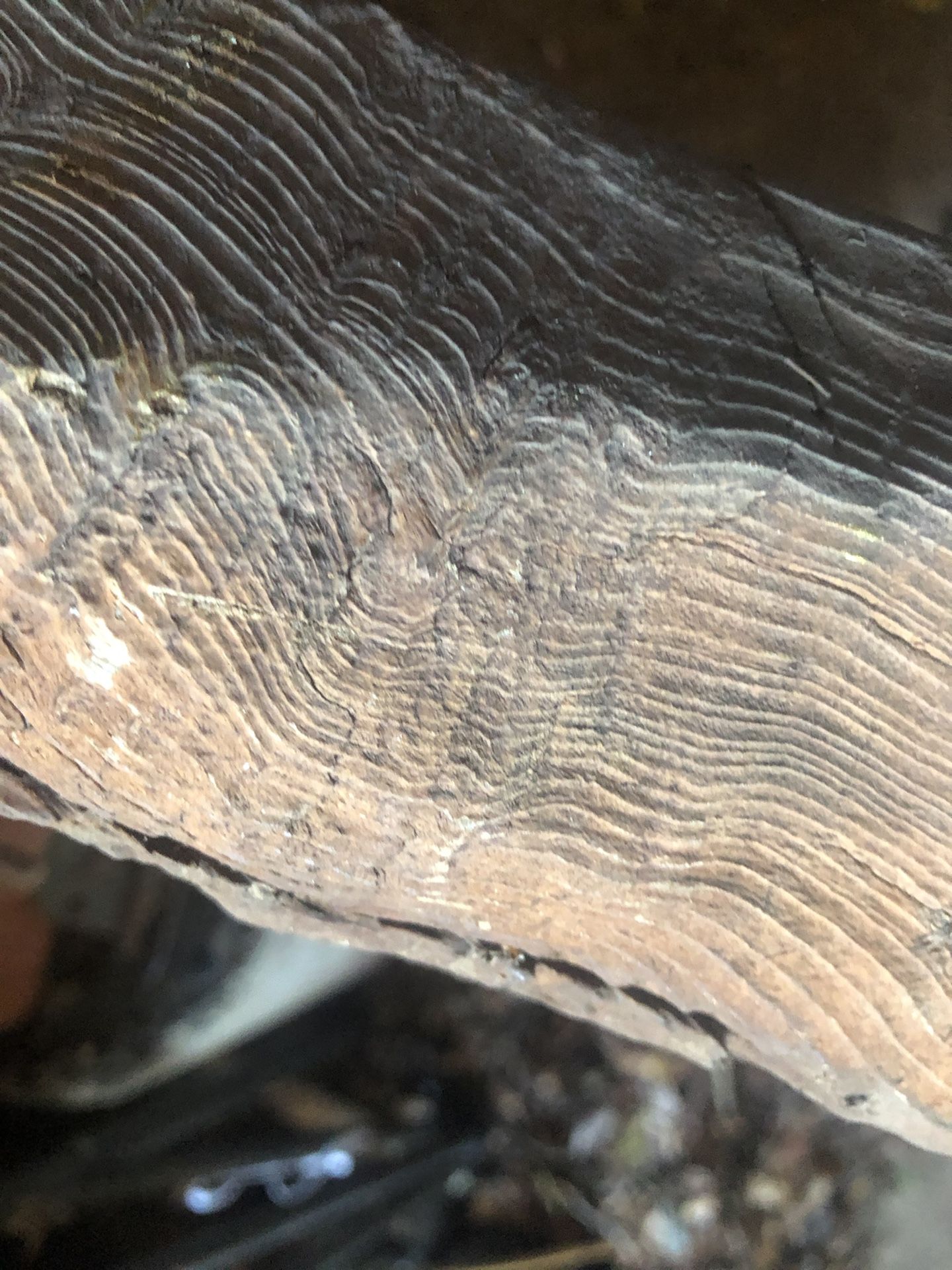Free Building & Project Material WOOD & PVC