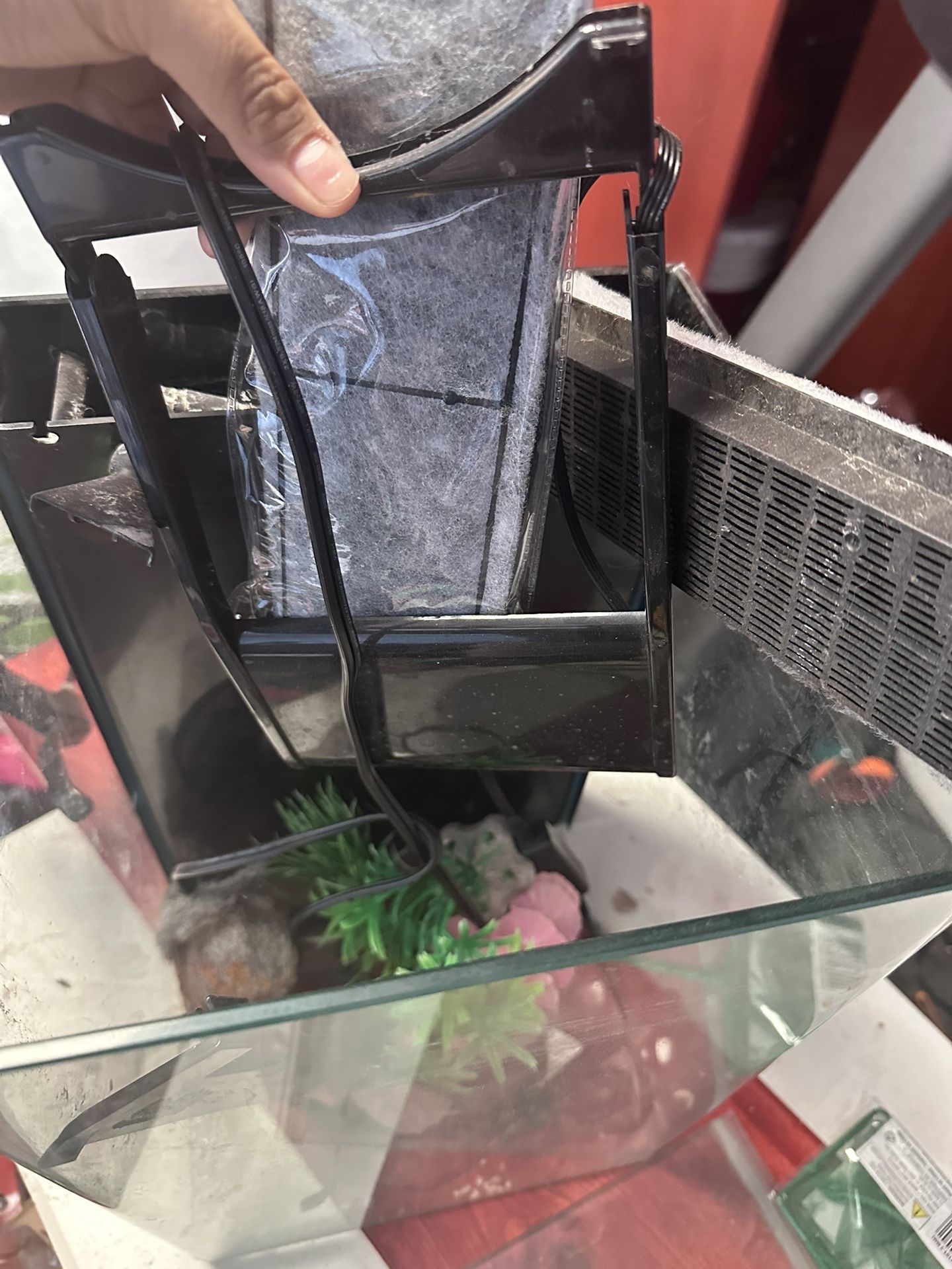 Fish Tank With Equipment