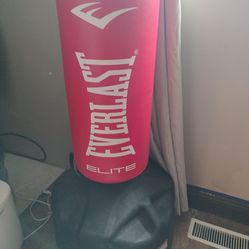 Elite Everlast Punching Bag