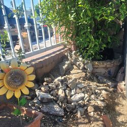 FREE ROCKS, VARIOUS SIZES. FREE! FREE!!