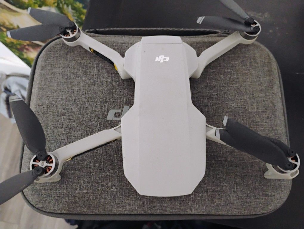 DJI Mavic Mini