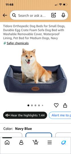 New orthopedic dog bed