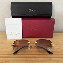 Sunglasses Men’s Carti