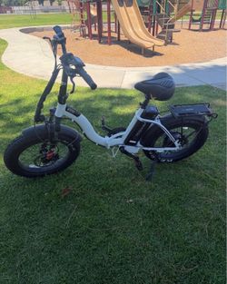 Eco Motion E Bike