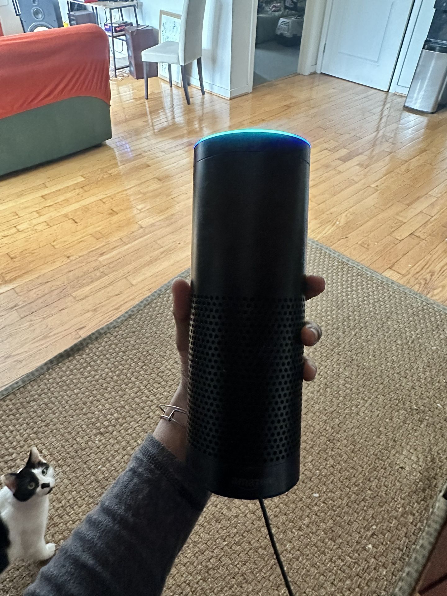 Amazon Alexa and 60 Inch Flatscreen