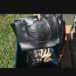 Kate Spade Purses
