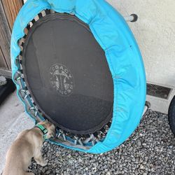Fitness Trampoline 