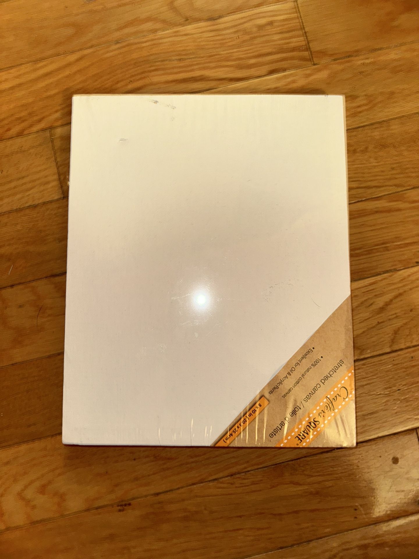 painting Canvas Never Before Opened