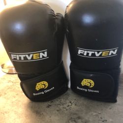 Fitven 8 Oz Boxing Gloves (GV)