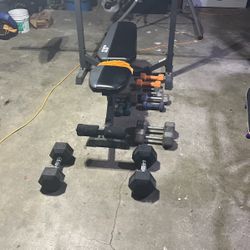 Bench And Associated Weights. 
