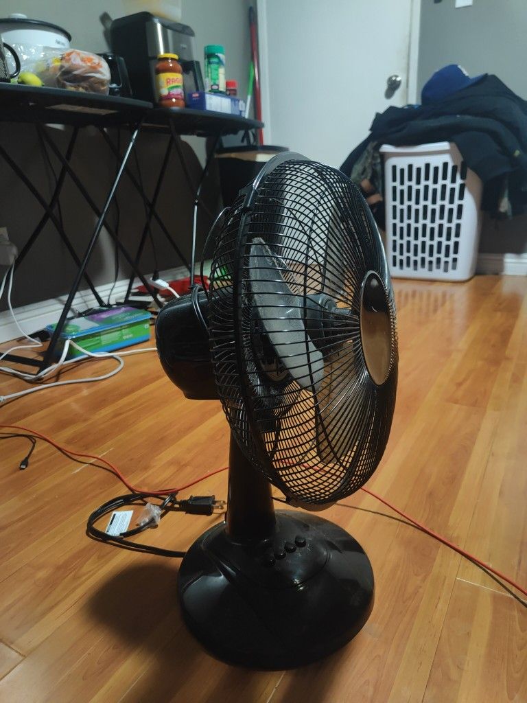 Fan 