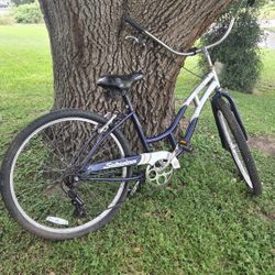 Schwin Beach Cruiser 10 Speed Bike Needs Some Repairs