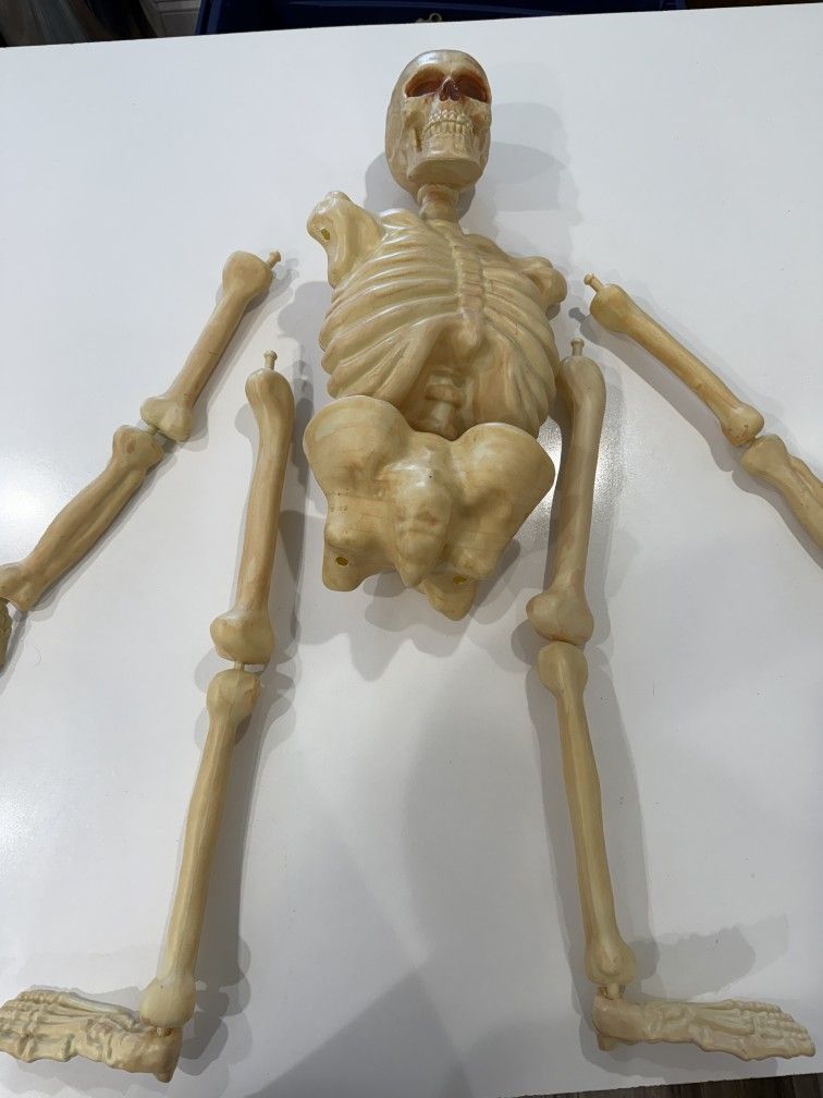 Hanging Skeleton Blow Mold