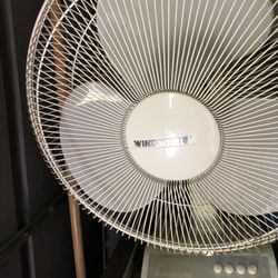 Plenty Of Fans Each For $10  And Air conditioners $45 each