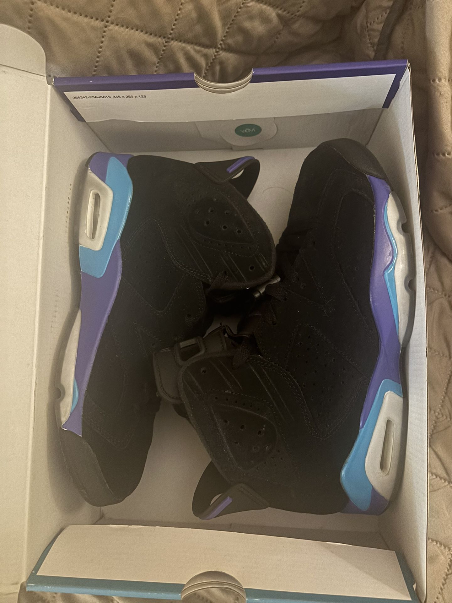 Jordan 6 Aquas