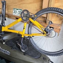 Specialized MT Bike