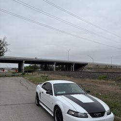 2003 Ford Mustang