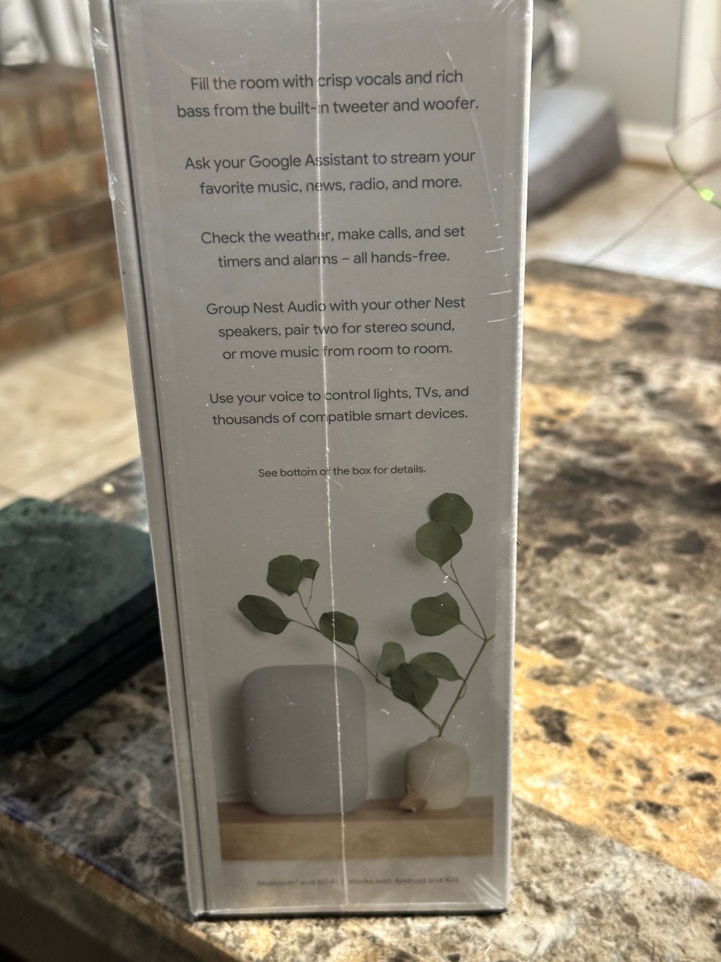 Google Nest Audio