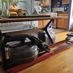 Newport Club Rowing Machine