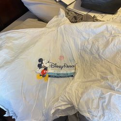 Disney Parks Rain Poncho Adult and Kids