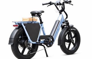 Cargo Electric Bicycle
