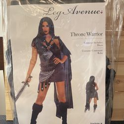 Warrior Ladies Costume