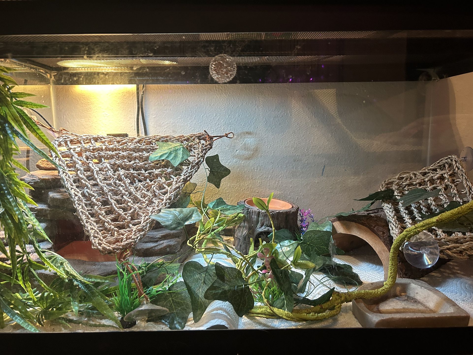 40 Gal Reptile Tank + Accessories