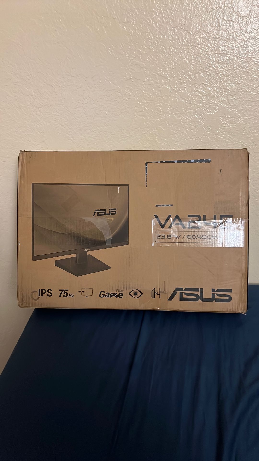 ASUS 24” Monitor