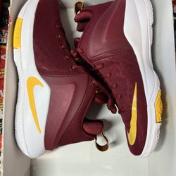 Brand New LeBron James Nike Zoom Witness